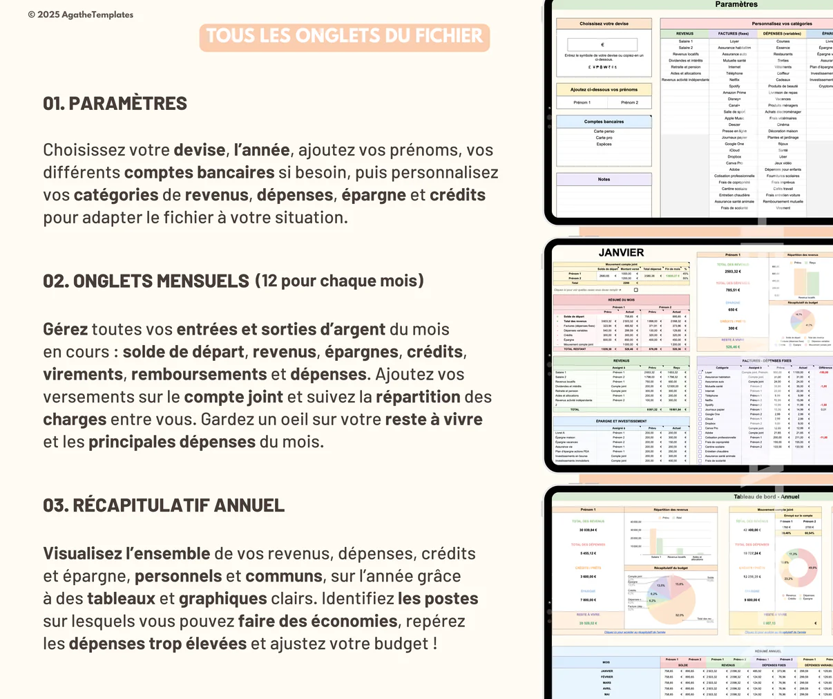 Budget Mensuel et Annuel ( Simple Budget Tracker ) – Image 8